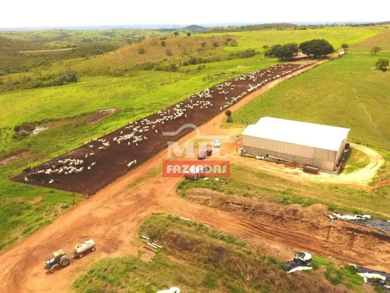 Fazenda 430 Alqueires (2.081 hectares) Ipameri - GO - Foto 2
