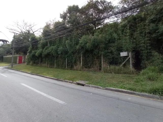 Foto - Pinhais - Jardim Amélia