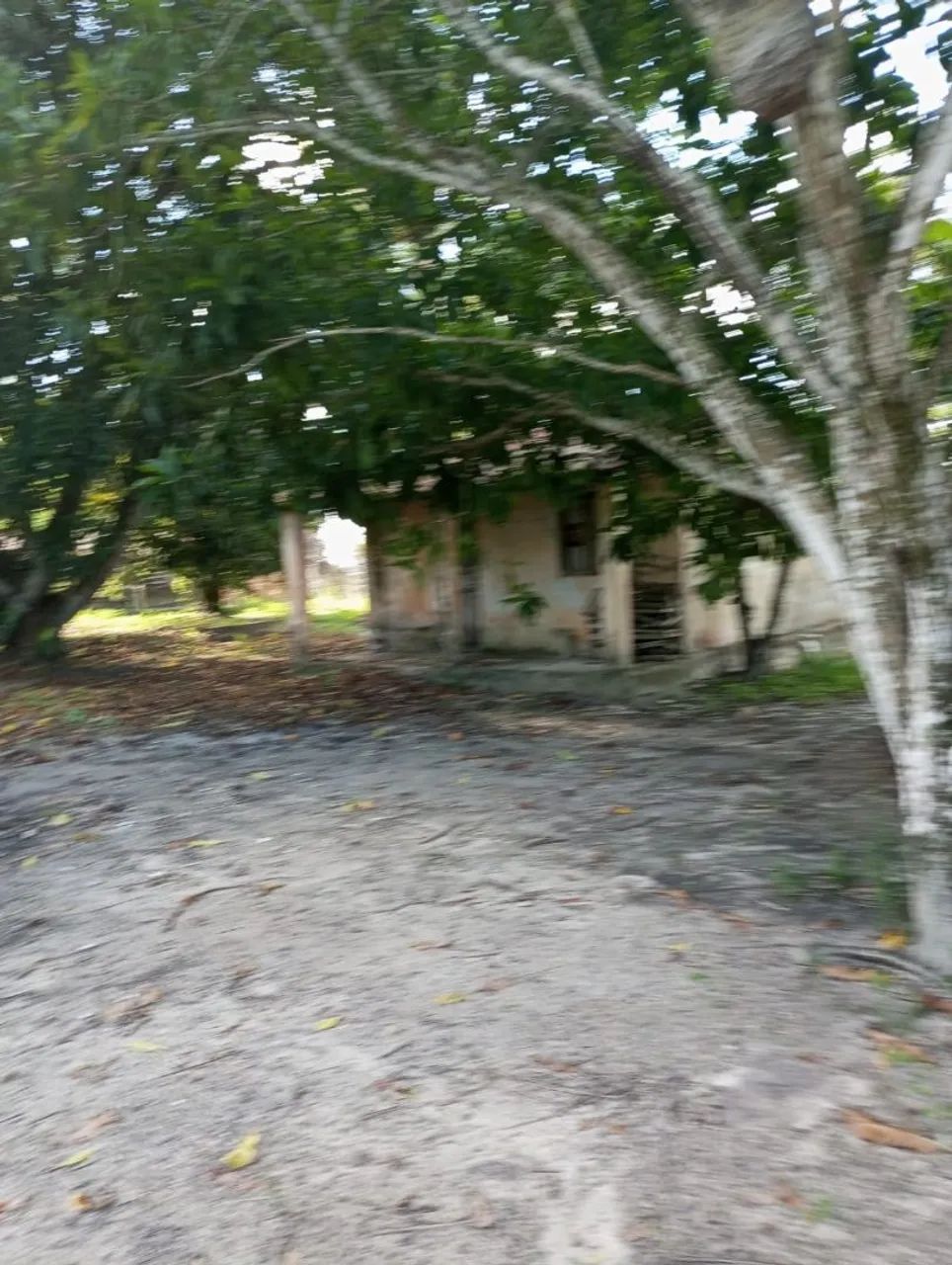 Foto - São Cristóvão - 