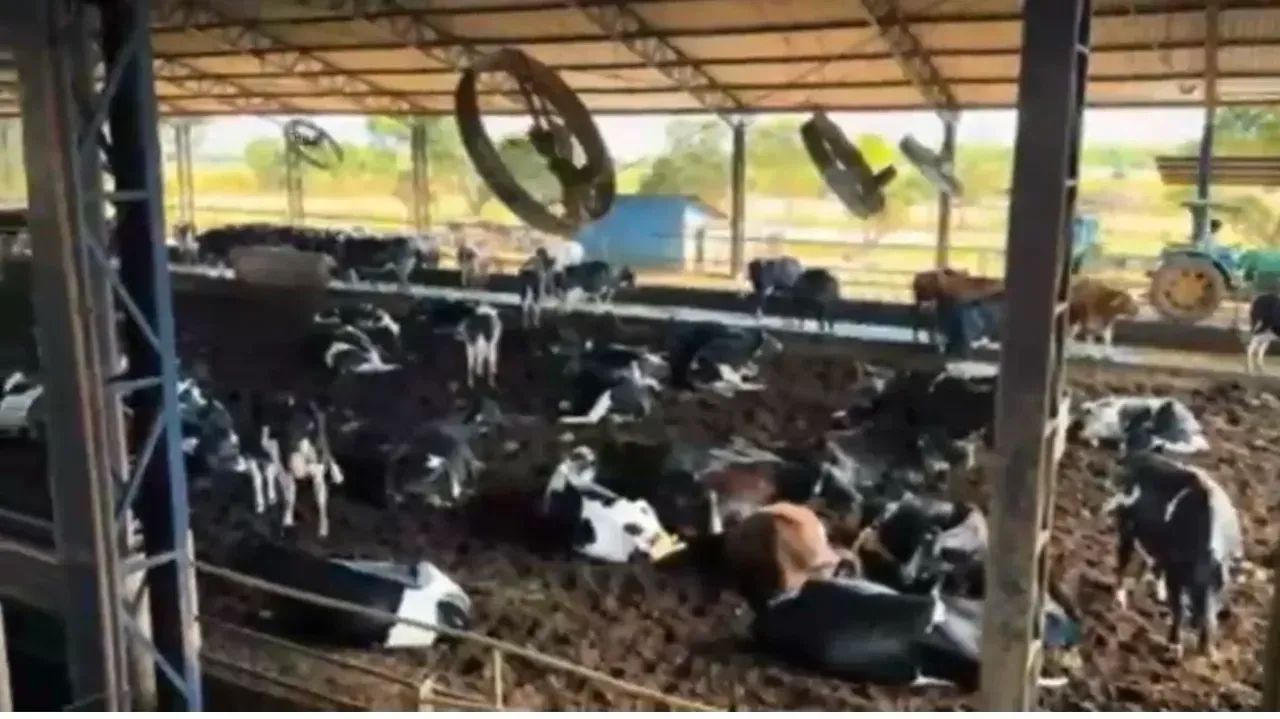 Fazenda a venda em Lagamar - Minas Gerais! - Foto 2