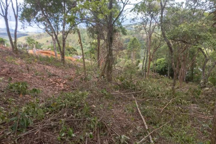 Foto - São José dos Campos - Costinha