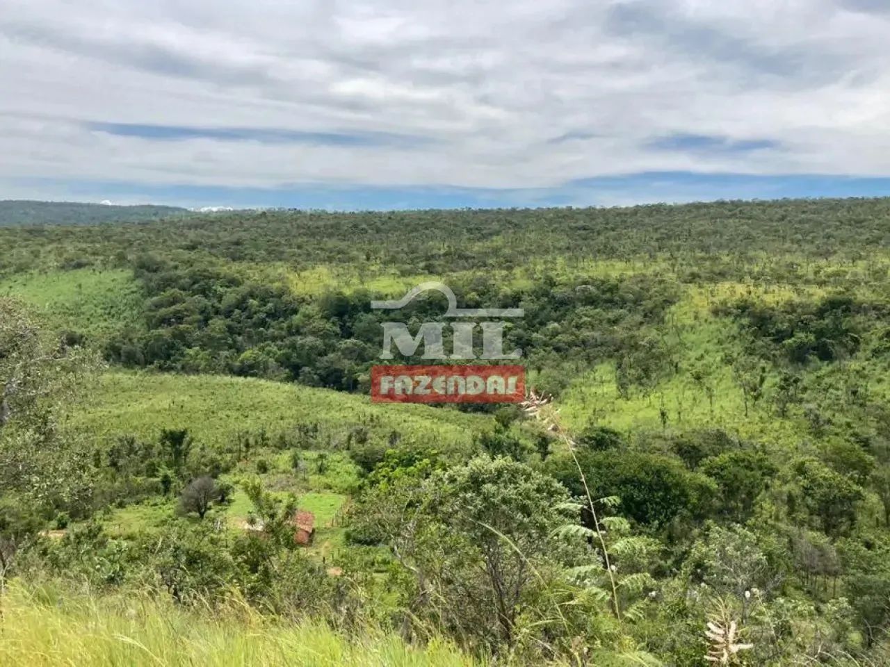 Fazenda 342 Alqueires (1.655 hectares) Arraias - TO