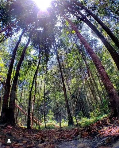 Um verdadeiro Paraíso! - Foto 10