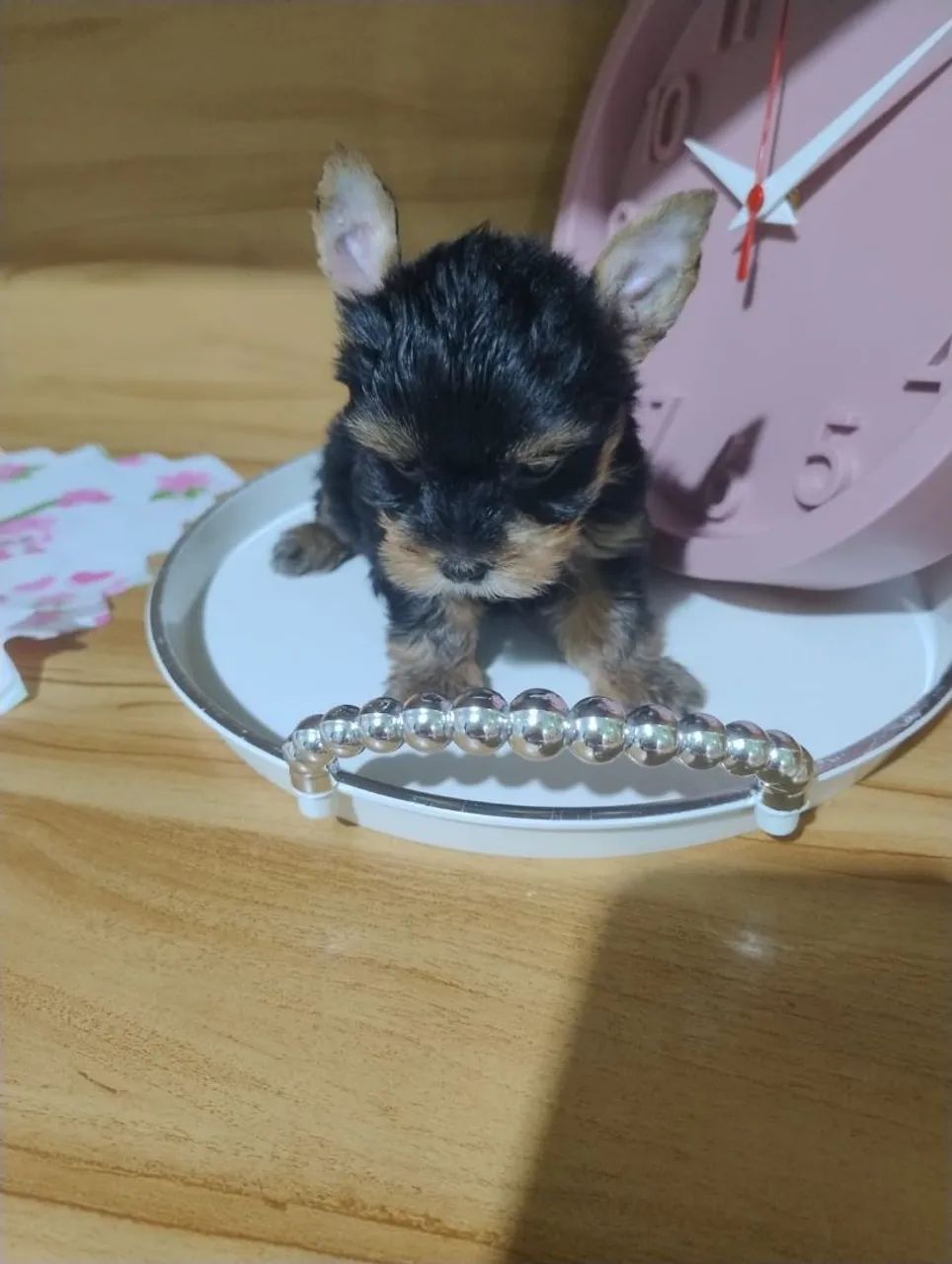 FÊMEA MINI 