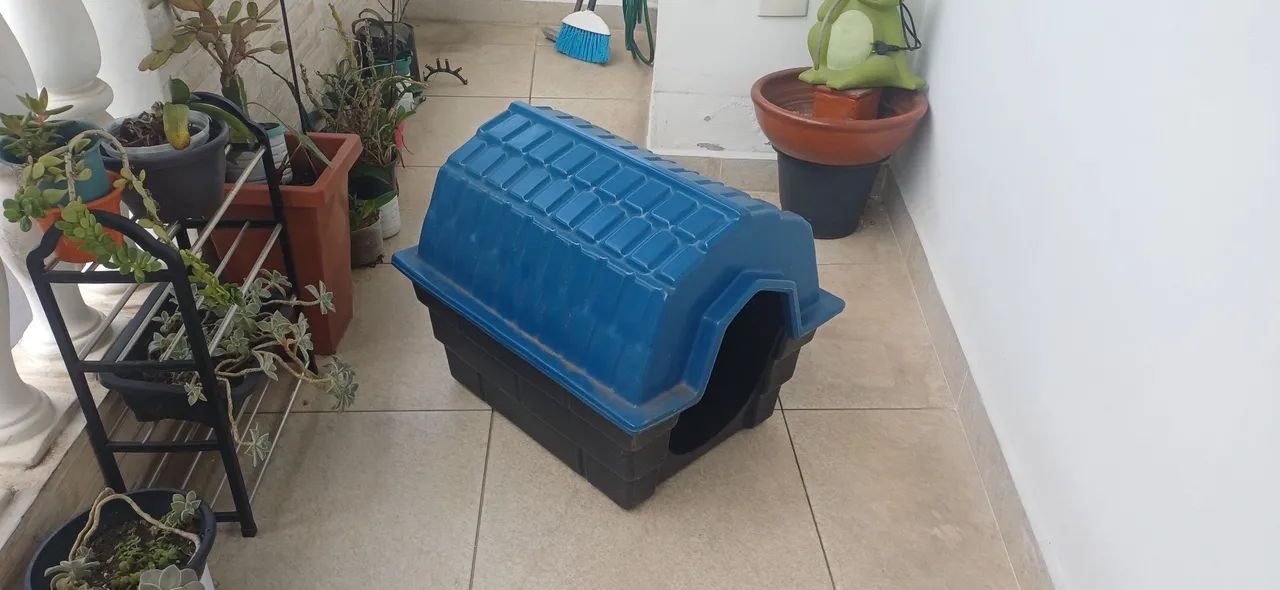 Casa de cachorro
