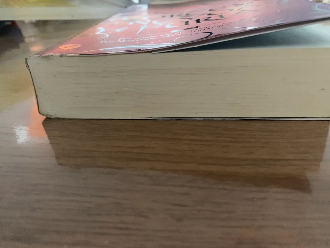 Corte de névoa e fúria livro (3)  - Foto 2
