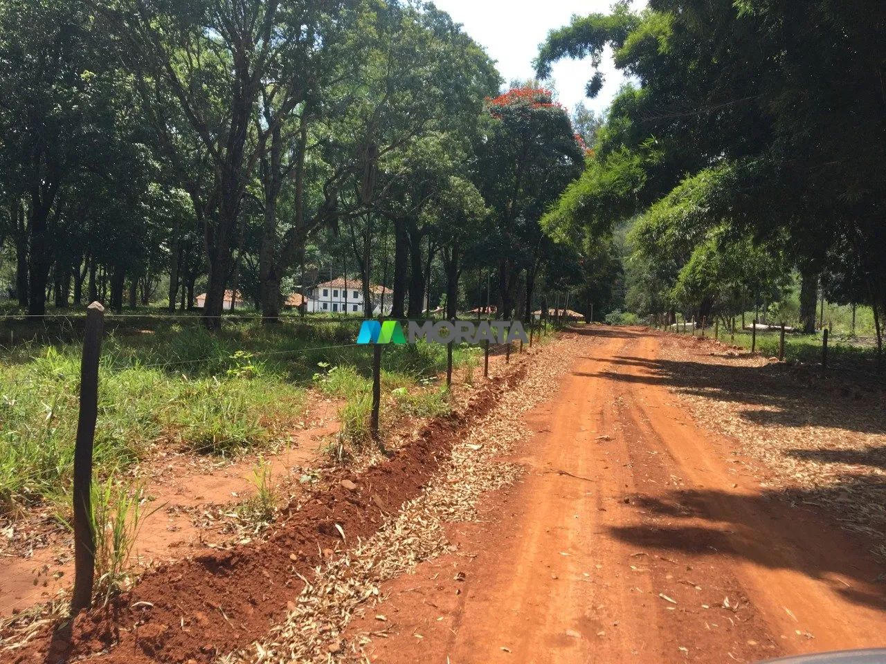 FAZENDA À VENDA - 710 HECTARES - CURVELO (MG)