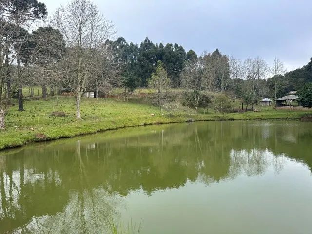 65.000,00m² - Foto 3