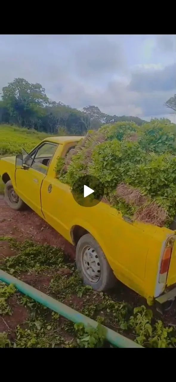 Ford Pampa L 1.6 1988