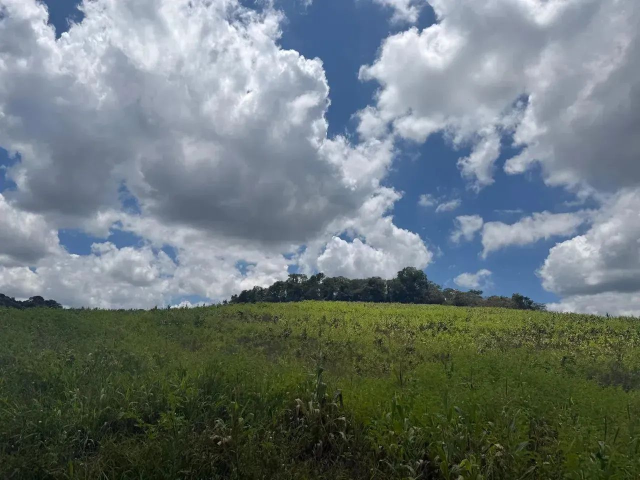 Lotes para venda possui 1000 metros quadrados em Colégio - Ibiúna - SP - Foto 11