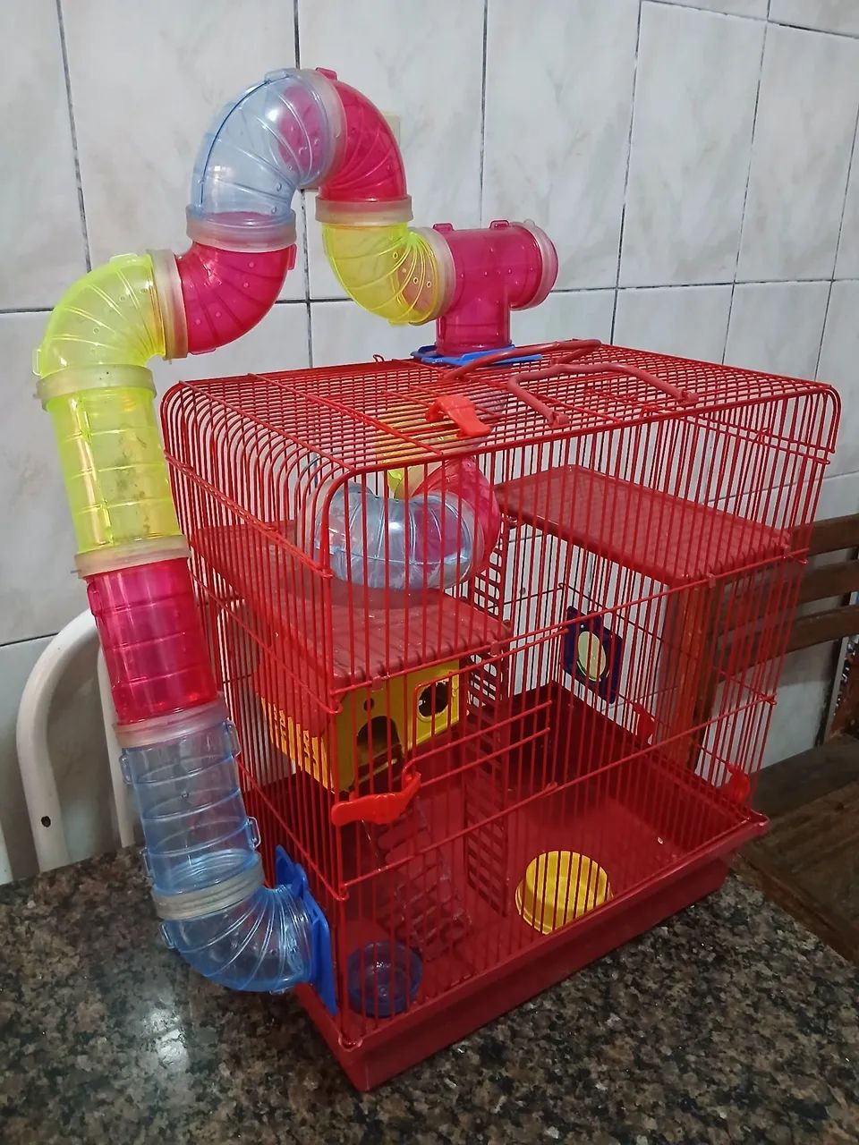 Gaiola para Hammister  - Foto 4