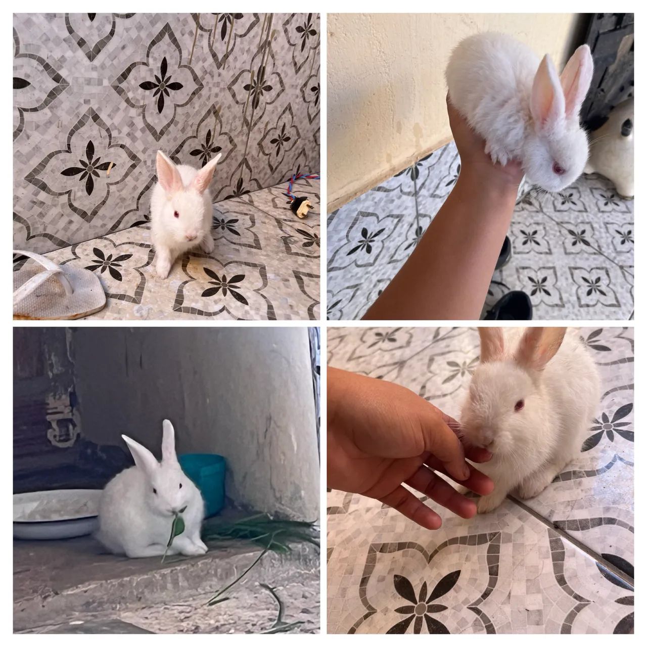 Estou vendendo 45$ 