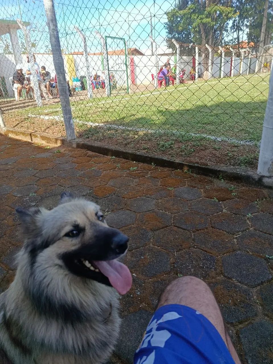 Vende-se  - Foto 3