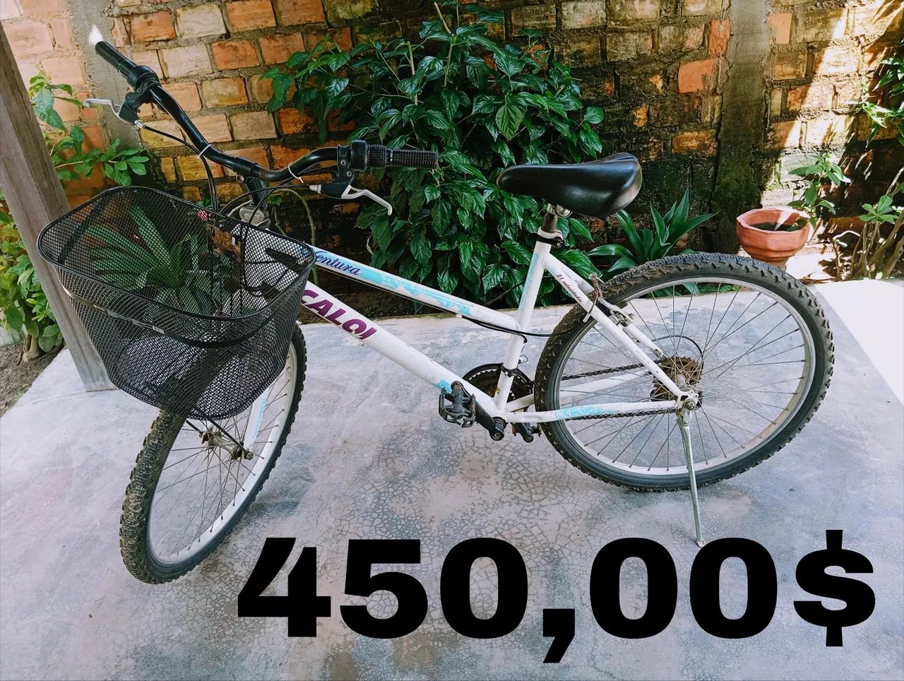 Bicicleta 