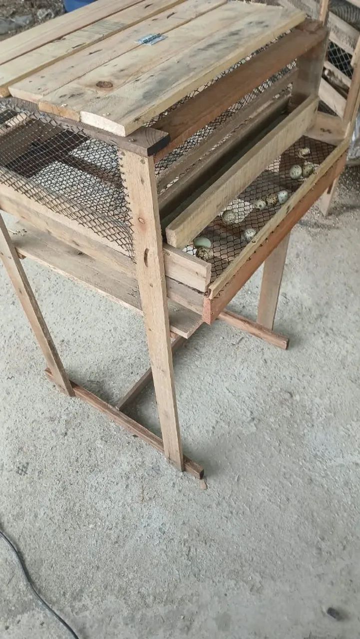 Viveiro para codornas  - Foto 2
