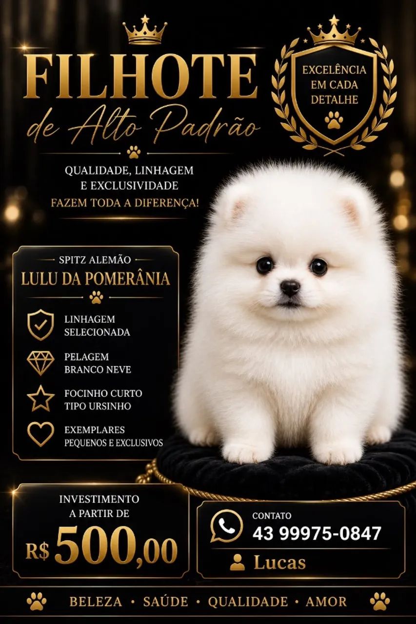 Cachorro