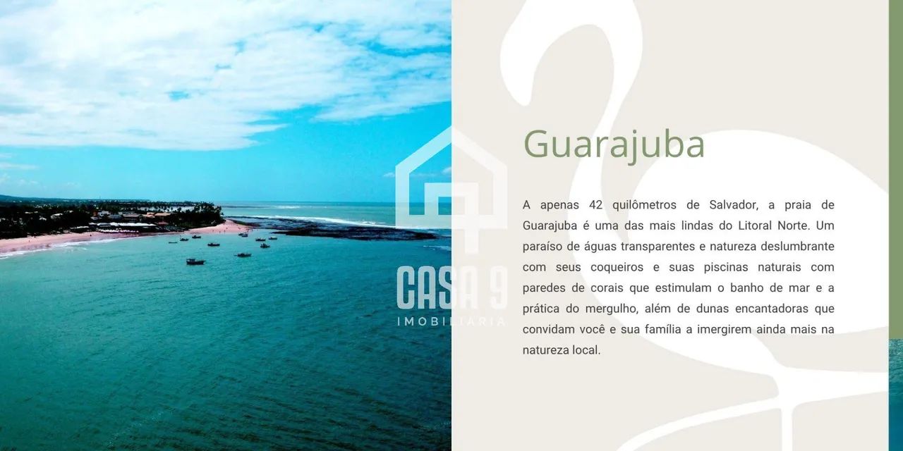 ARTI GUARAJUBA - Foto 5