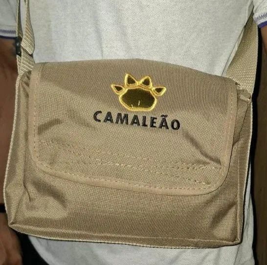 Bolsas e begs camaleão  - Foto 5