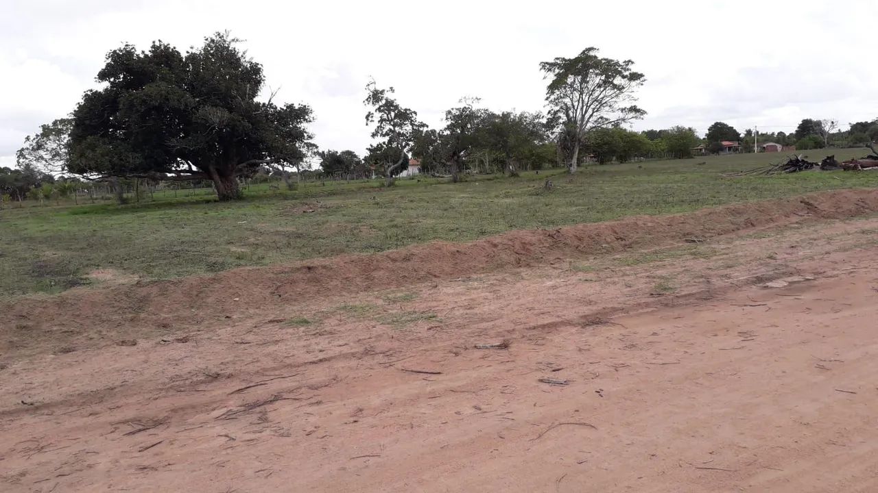 Terreno de Chácaras em Serrinha  - Foto 4