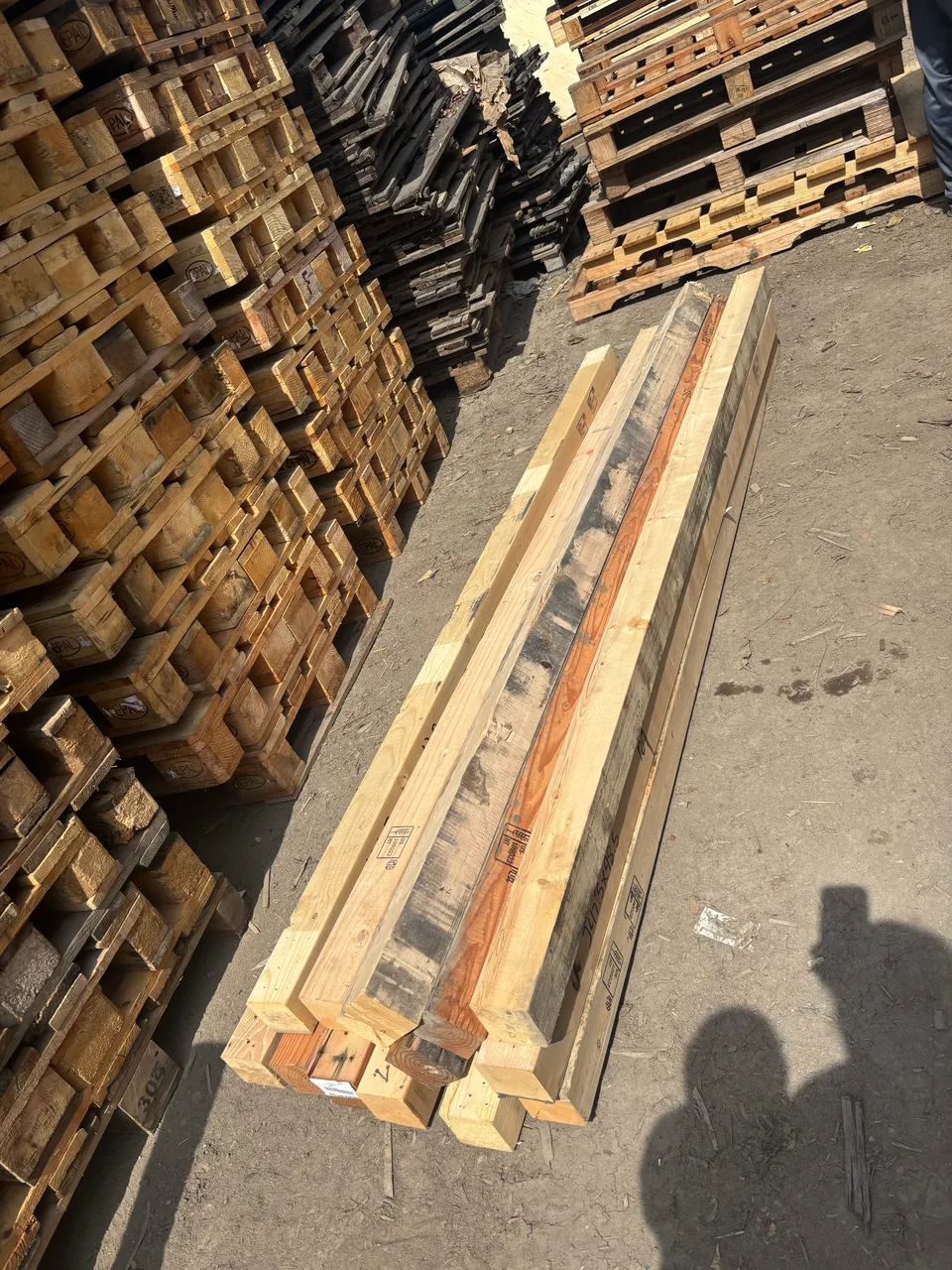 Viga Pinus 