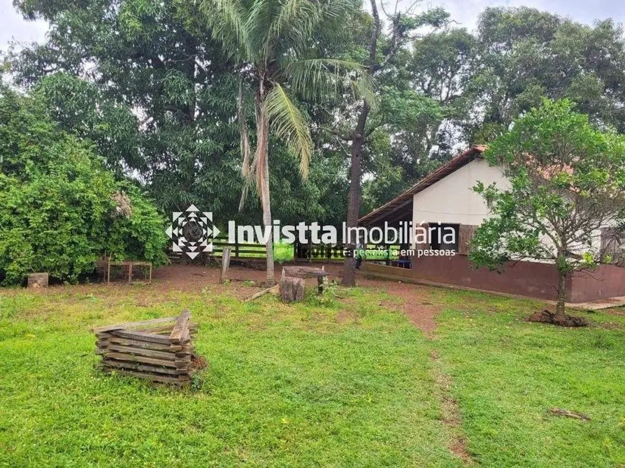 Fazenda de 532 alqueires com dupla aptidão na região de Pedro Afonso - Foto 5