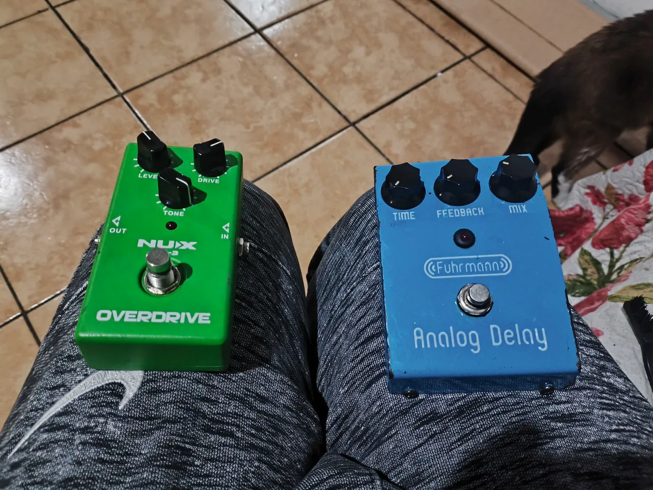 Pedal de Delay marca Mad Professor, modelo Deep Blue Delay