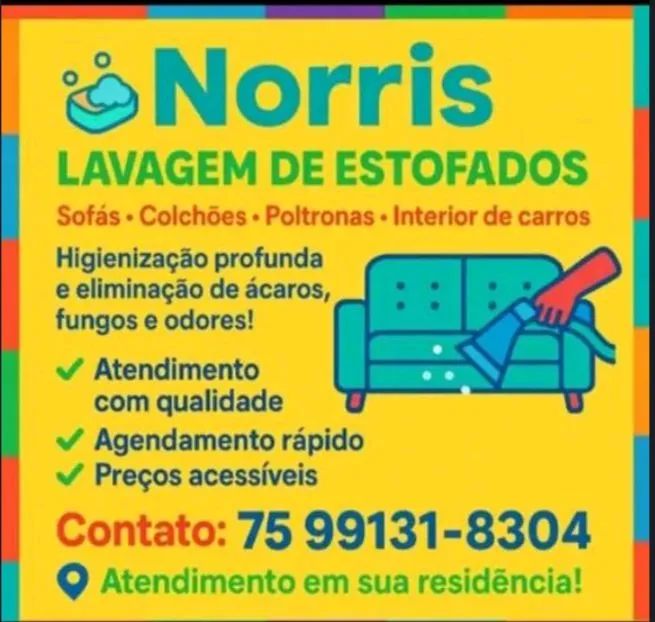 Lavagem a seco 