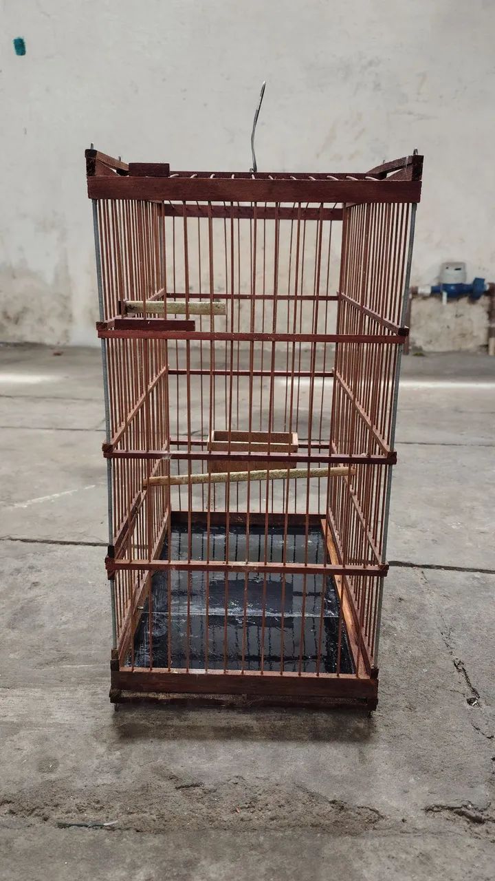 Gaiola - Foto 4