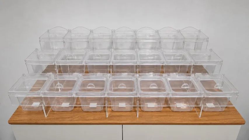 Kit para Acompanhamentos de Açaiteria - Organize seu Mix com Estilo - Foto 2