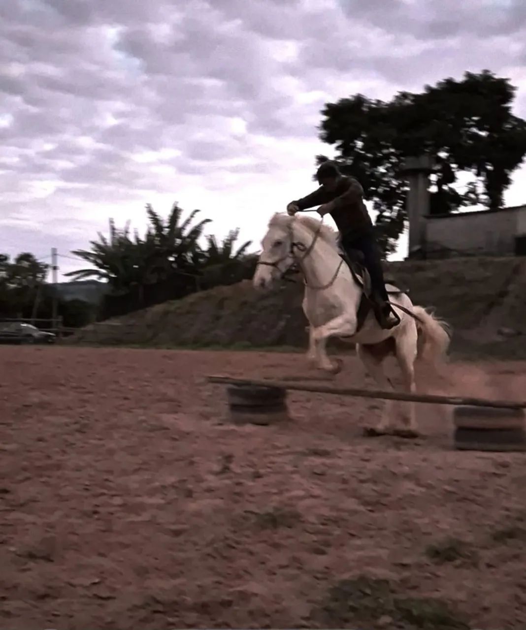 Cavalo com 6 anos bom de rédia bom para a charrete meche com bom raça aplauso  - Foto 3