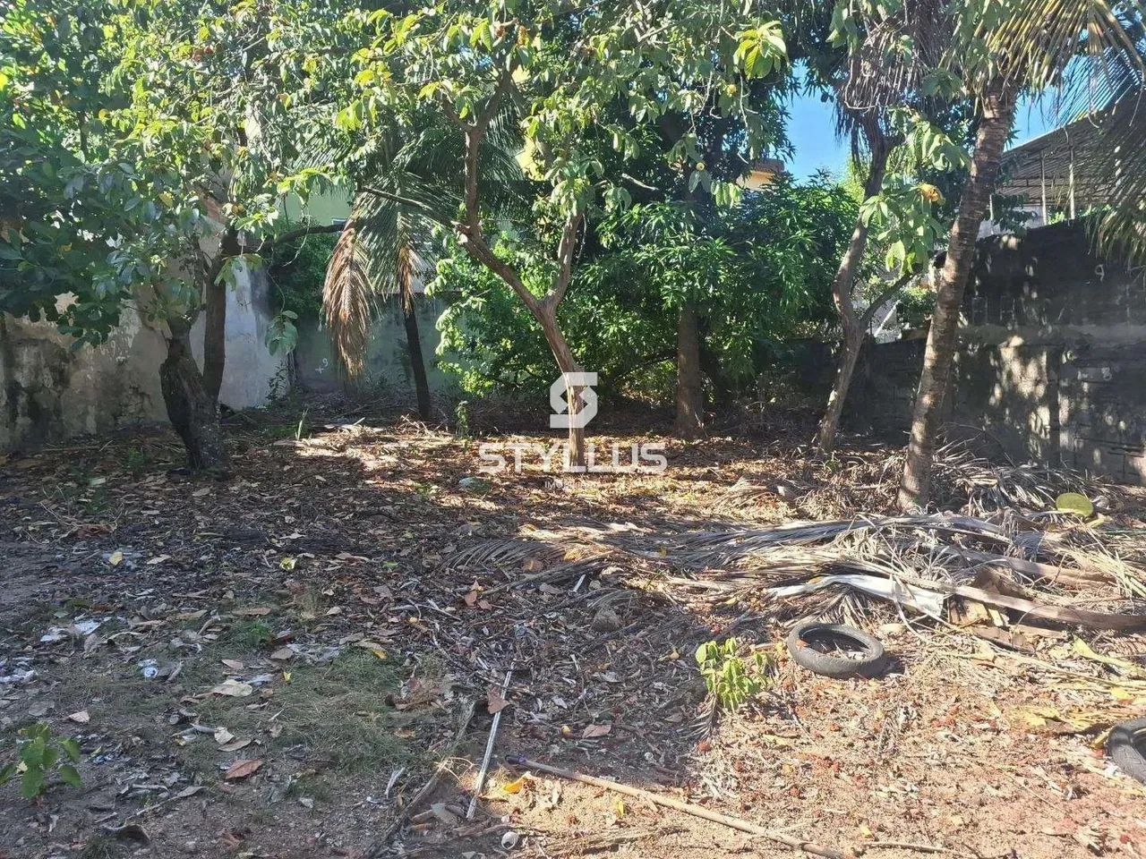 Maria da Graça | Terreno - Foto 11