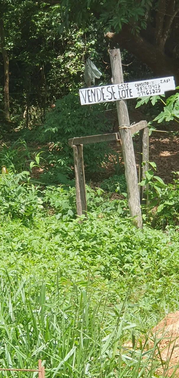 Entrada dos maias - Foto 2