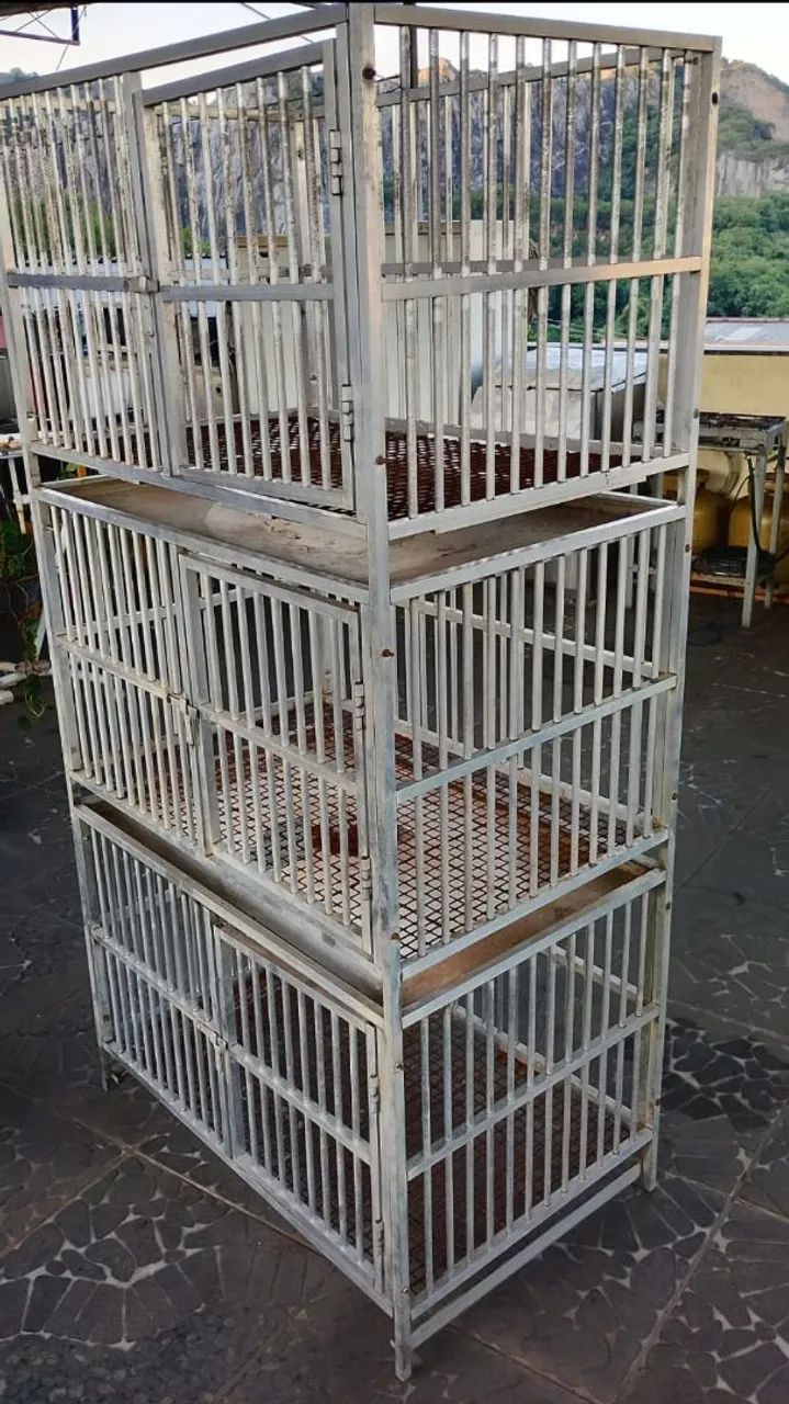 Canil vertical 