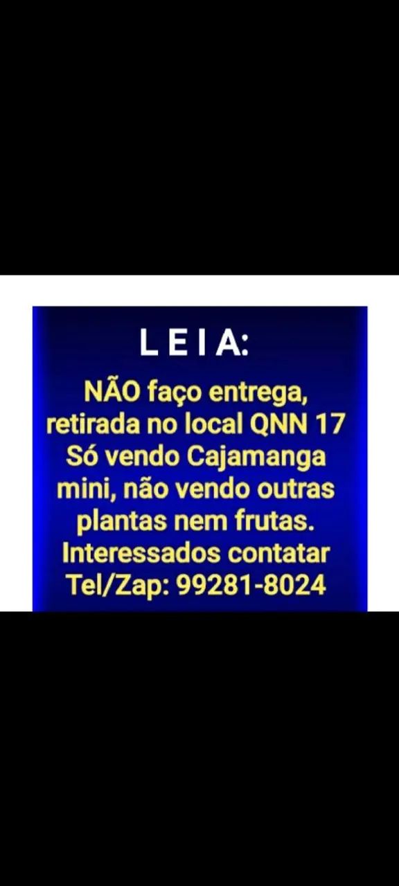 Mini Frutífera Cajamanga PRODUZINDO.  - Foto 5