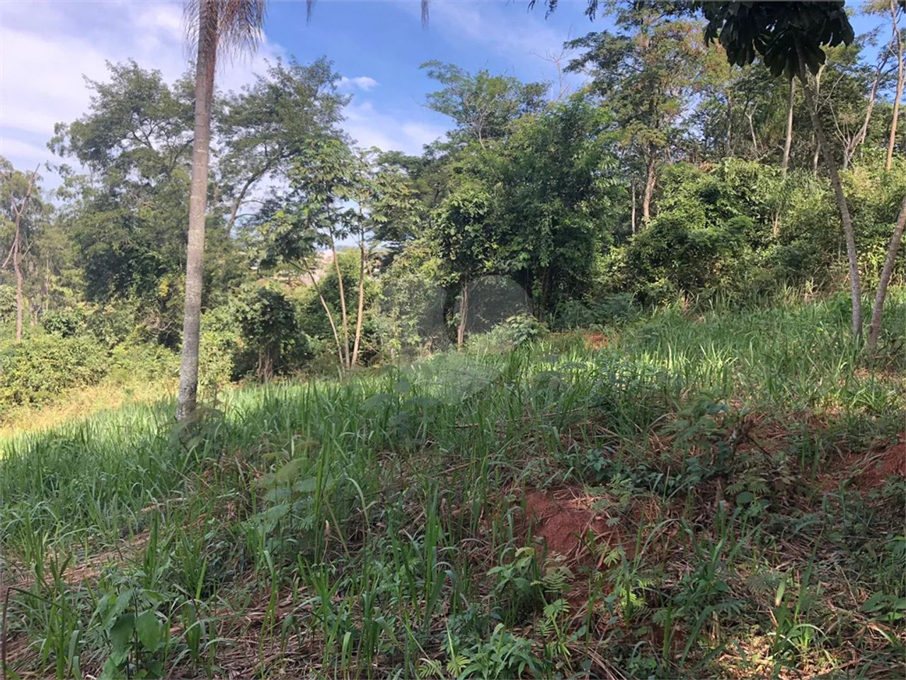 Terreno à venda em Centro - SP - Foto 3