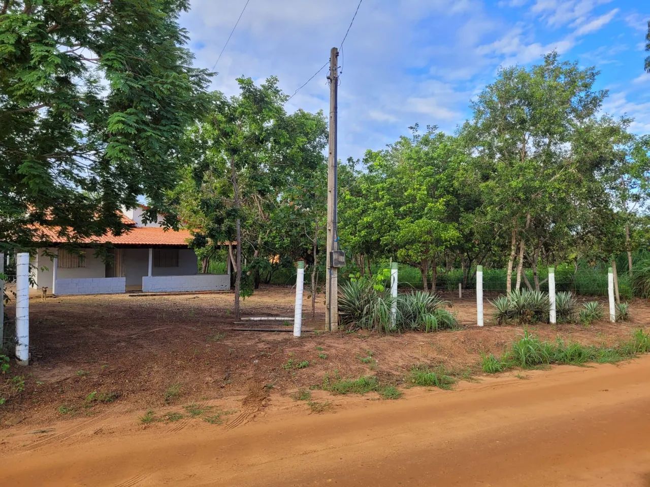 Vendo chácara vila agrotins - Foto 4