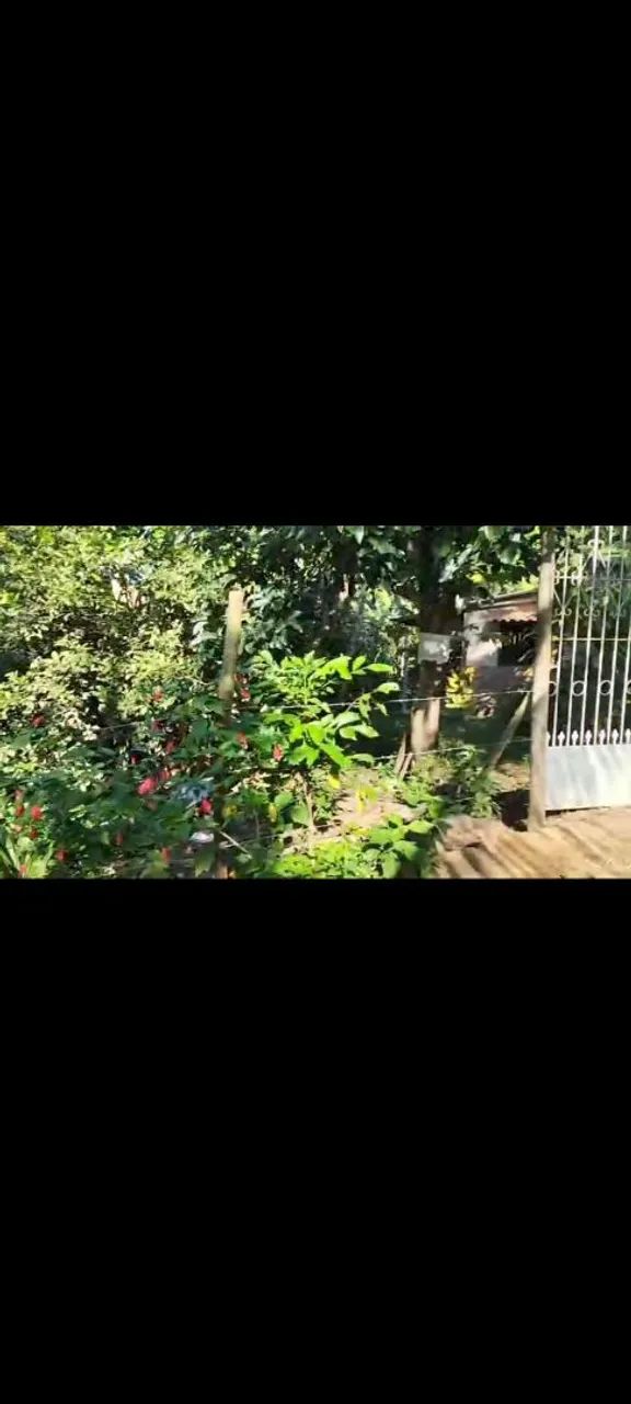 ? SÍTIO À VENDA - TRANQUILIDADE, NATUREZA E QUALIDADE DE VIDA! - Foto 3