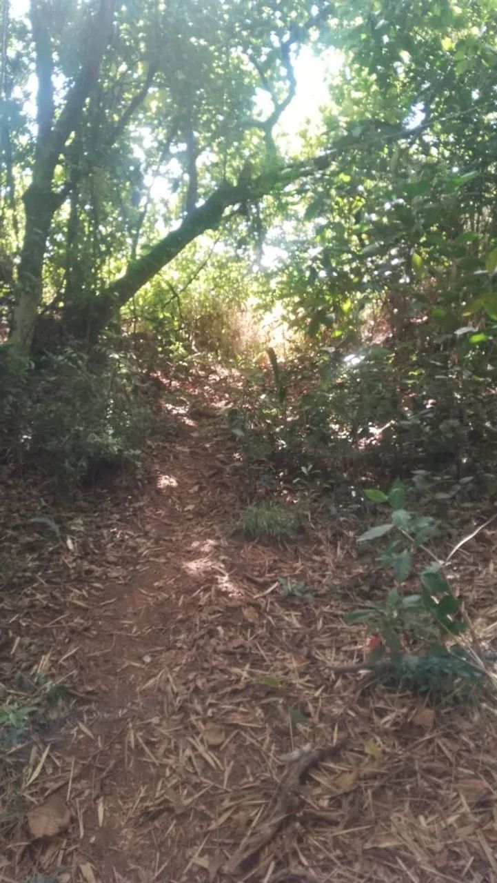 TERRENO 4HC POUSADA DEL REY EM IGARAPÉ. - Foto 3
