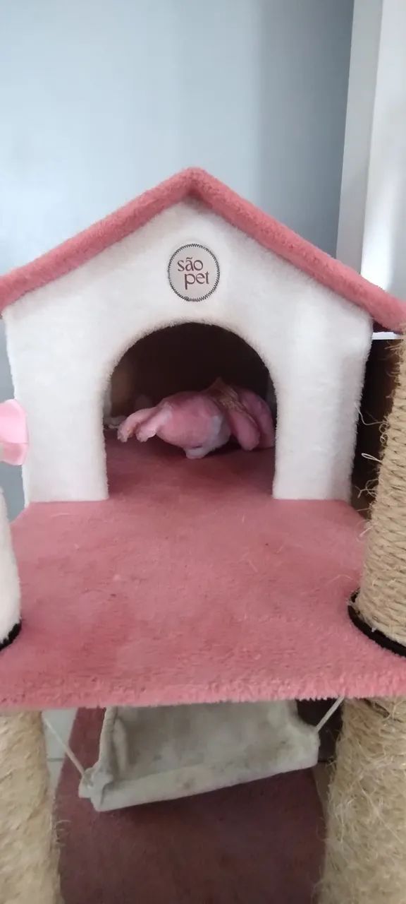 Casa de gato.  - Foto 3