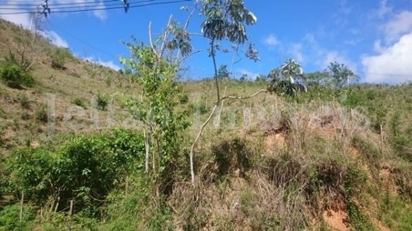 Chácara São Luis, Volta Redonda - Foto 6