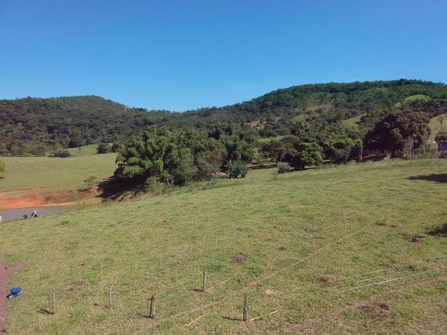 Fazenda 25 Alqueires ( 121 hectares )-Varjão-GO porteira fechada - Foto 15