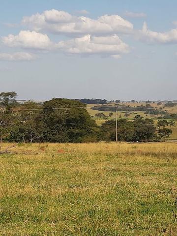 Sítio de 21 Alqueires-Proximo a Luzitânia - Foto 4
