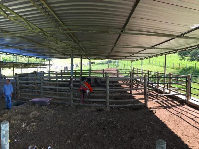 Fazenda 25 Alqueires ( 121 hectares )-Varjão-GO porteira fechada - Foto 18