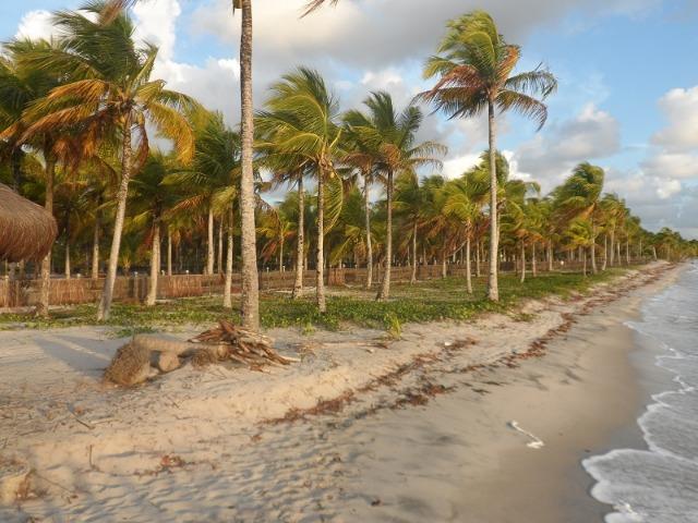 Gleba de Terras, Ilha de Tubarão, Camamu-BA - Foto 6