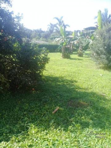 Chácara com mais de 5 alqueires no anhaia - Foto 4