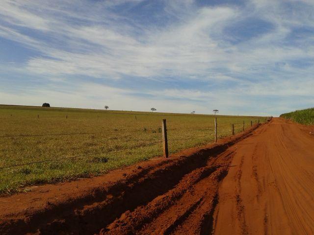 8062 | Chácara à venda em ÁREA RURAL, CRUZEIRO DO SUL