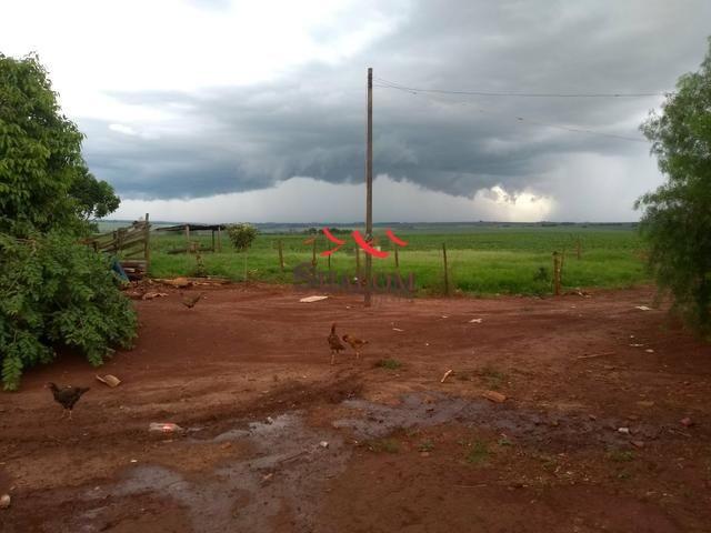 8051 | Sítio à venda em NÃO INFORMADO, ÂNGULO - Foto 10
