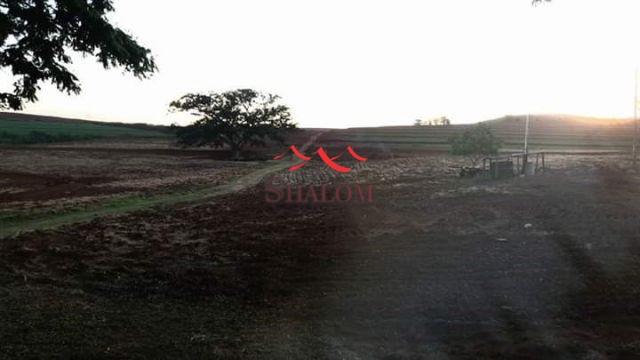 8051 | Sítio à venda em NÃO INFORMADO, SANTO INÁCIO - Foto 8