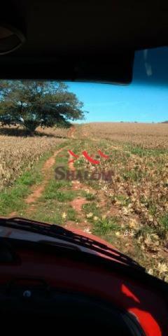 8051 | Sítio à venda em NÃO INFORMADO, SANTO INÁCIO - Foto 3