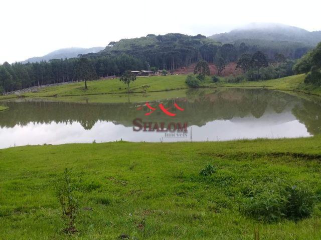 8051 | fazenda à venda em fazenda pinhão, pinhão - Foto 7